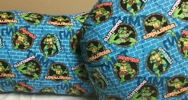 Ninja Turtles